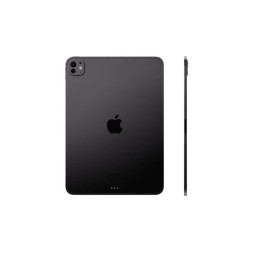 Apple iPad Pro 11" 256Gb (2024) Wi-Fi «черный космос»