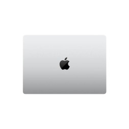 Apple MacBook Pro 14" M4 Max 16c CPU, 40c GPU, 64/2TB серебристый (2024)
