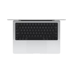 Apple MacBook Pro 14" M4 Max 16c CPU, 40c GPU, 64/2TB, нанотекстурное стекло, серебристый (2024)